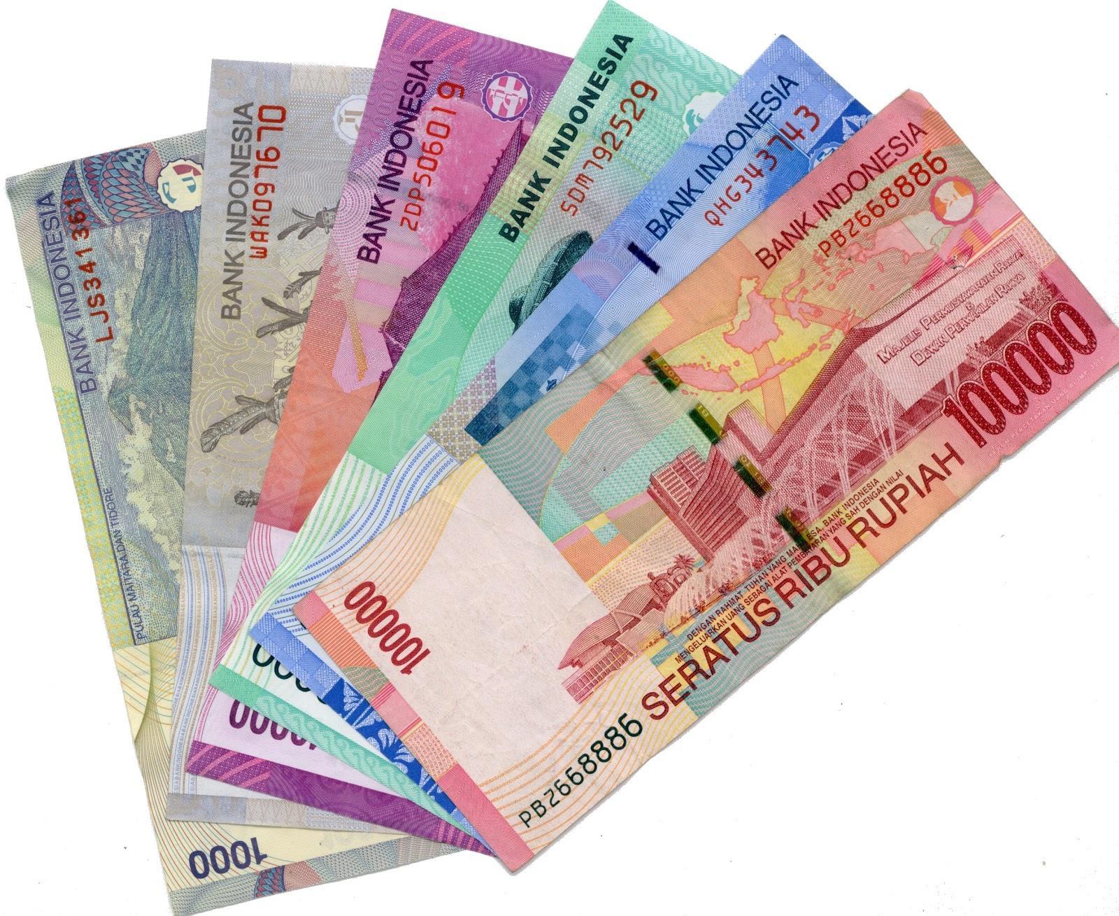 Dompet Bonanza – Pelindung Kartu dan Uang Anda