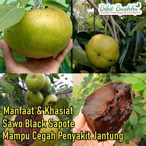 Keunggulan dan Manfaat Habanero Dipercaya untuk Kesehatan Anda